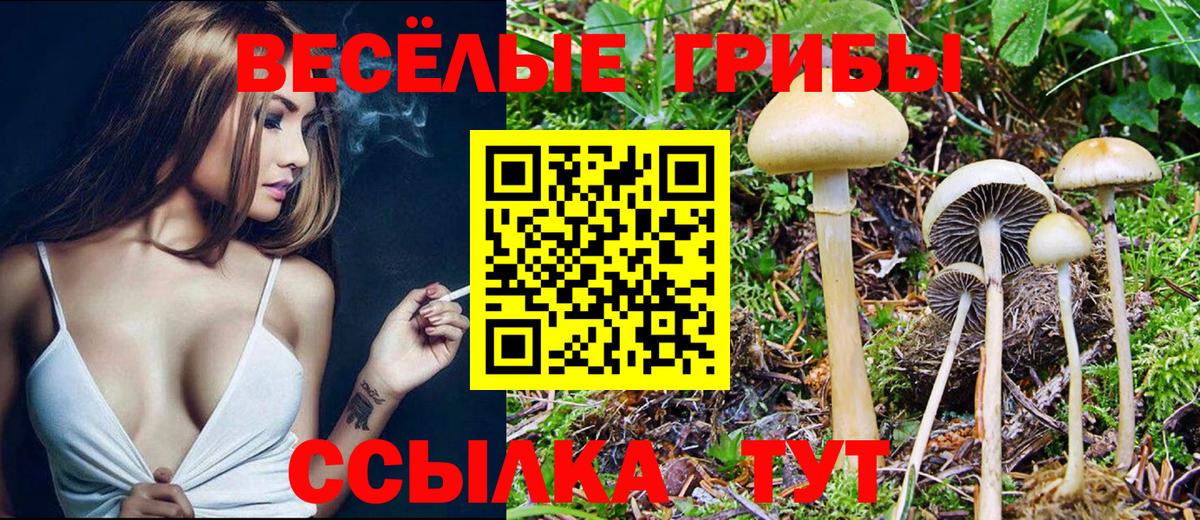 Псилоцибиновые грибы GOLDEN TEACHER  Вход с VPN  Жигулёвск 